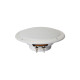 Visaton FR 13 WP - 4 Outdoor Full-Range Speaker | White